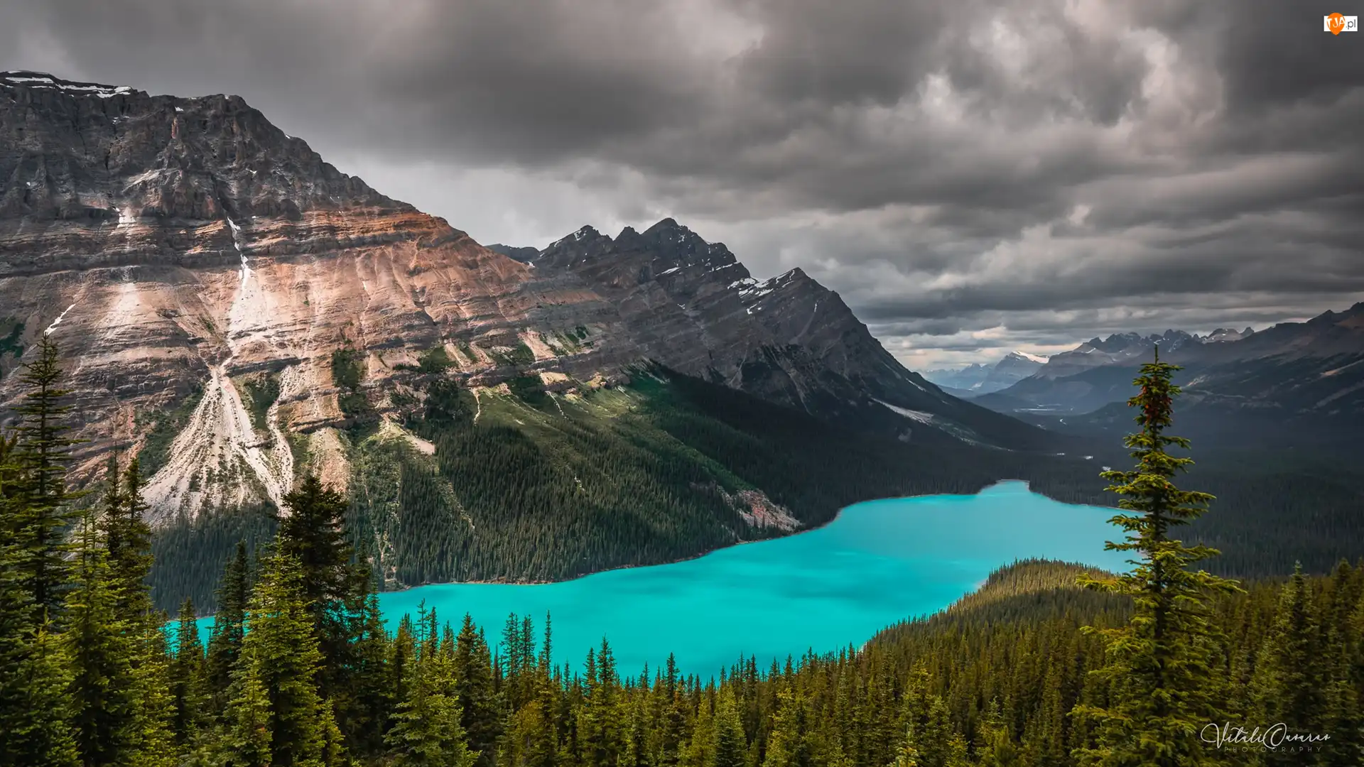 Chmury, Park Narodowy Banff, Lasy, Alberta, Góry Canadian Rockies, Drzewa, Kanada, Jezioro Peyto Lake