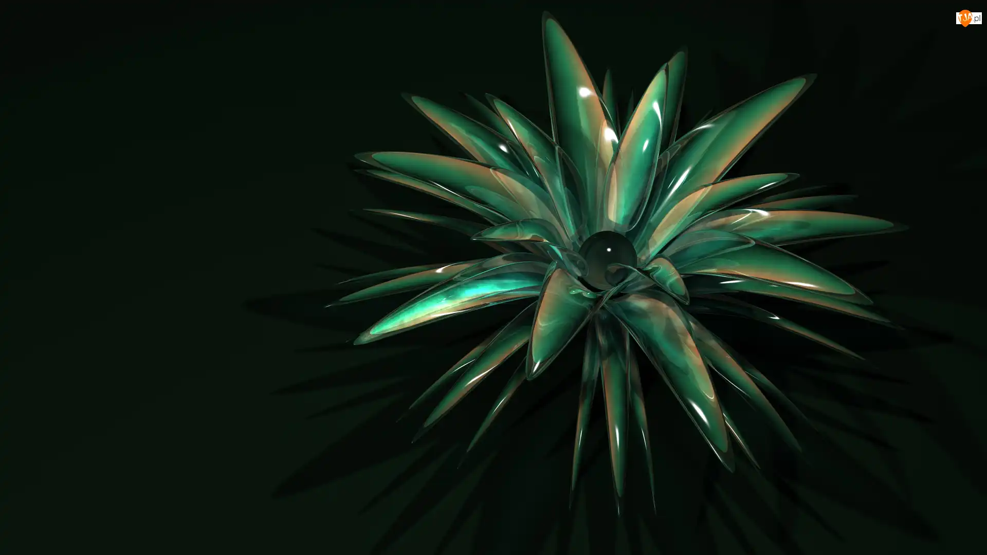 Kwiat, Grafika 3D, Zielony