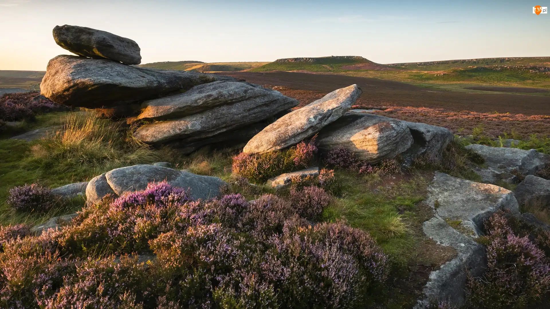 Wrzosowisko, Formacja skalna, Skały, Hope Valley, Owler Tor, Wrzosy, Anglia, Kamienie