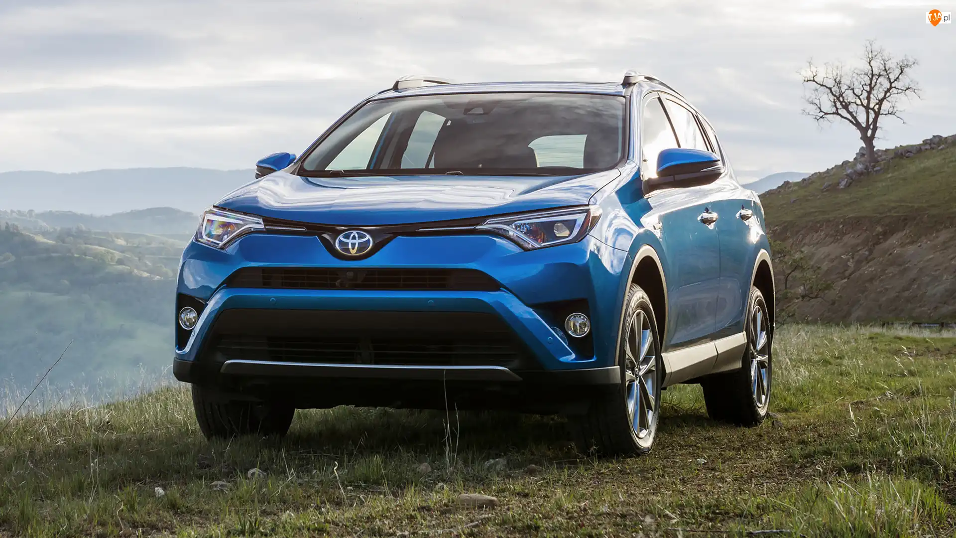 Toyota RAV4, Niebieska