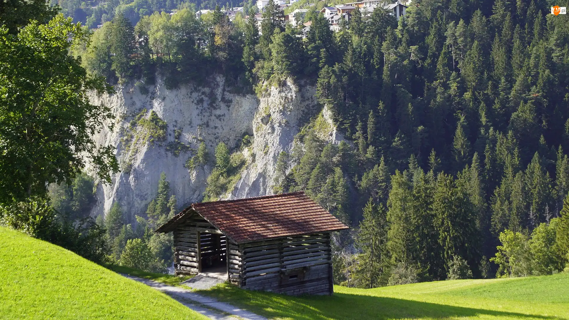 Drzewa, Szopa, Skały