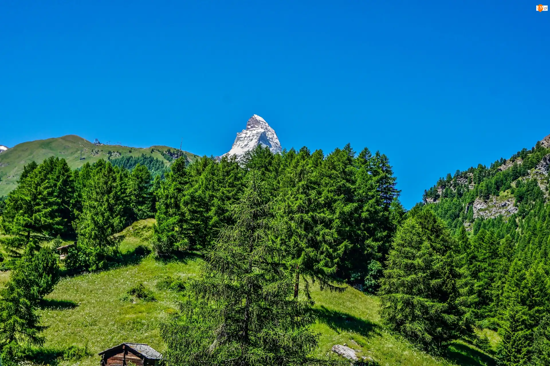 Las, Łąka, Szwajcaria, Góry, Matterhorn, Szczyt, Szopy