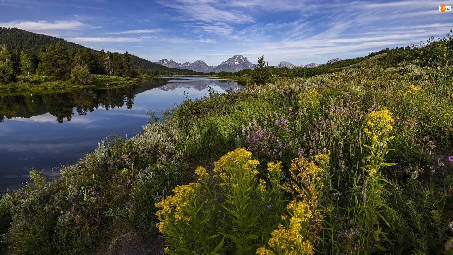 Snake River, Rośliny, Rzeka, Kwiaty, Wyoming, Góry, Mount Moran, Stany Zjednoczone, Łąka, Park Narodowy Grand Teton, Niebo