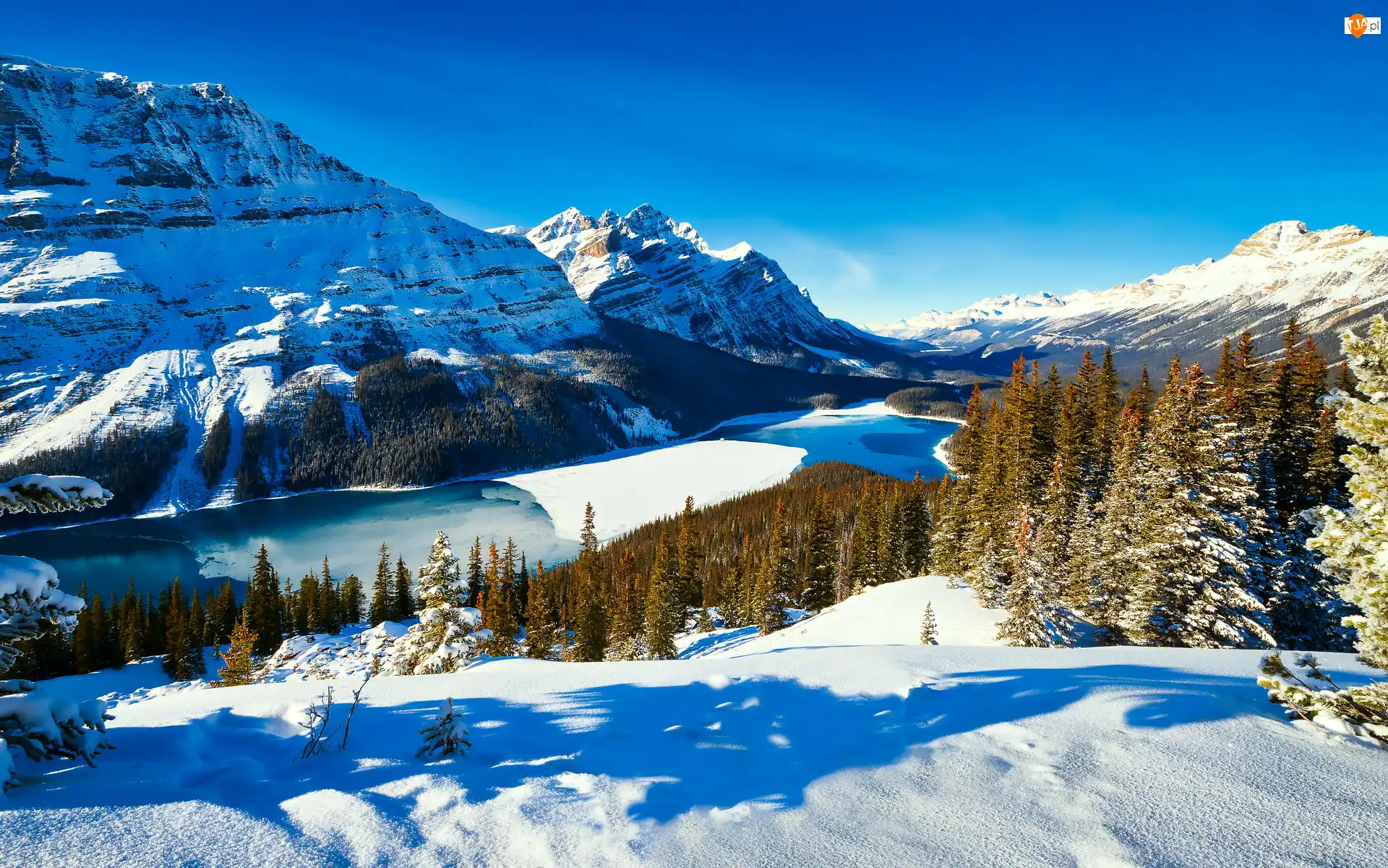 Jezioro Peyto Lake, Park Narodowy Banff, Kanada, Zima, Drzewa, Lasy, Góry Canadian Rockies