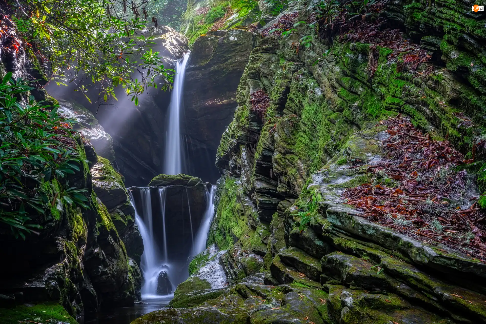 Stan Karolina Północna, Wodospad Duggers Creek Falls, Przebijające światło, Stany Zjednoczone, Gałęzie, Las, Skały