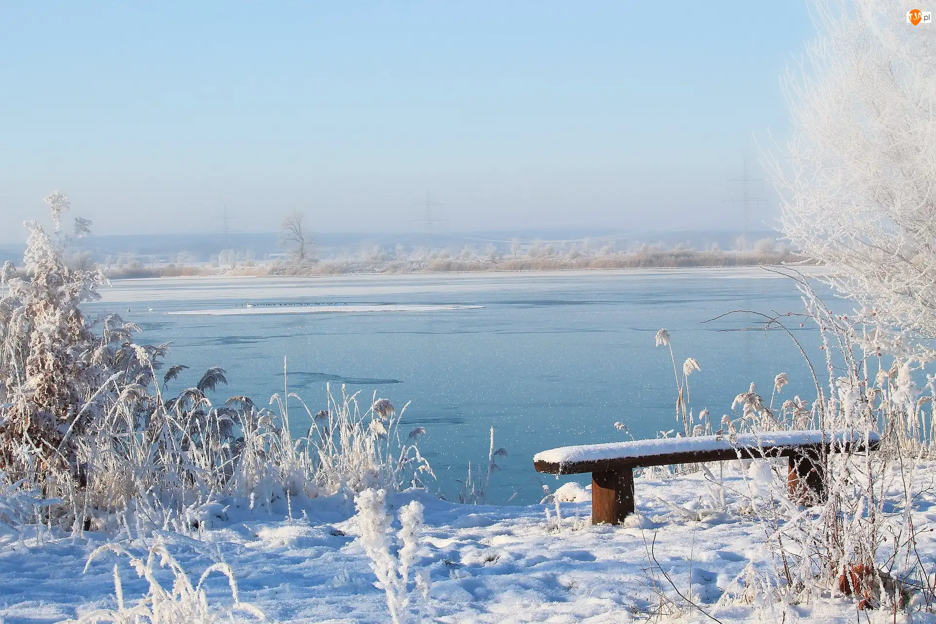 Śnieg, Zima, Jezioro, Rośliny, Ławka, Oszronione