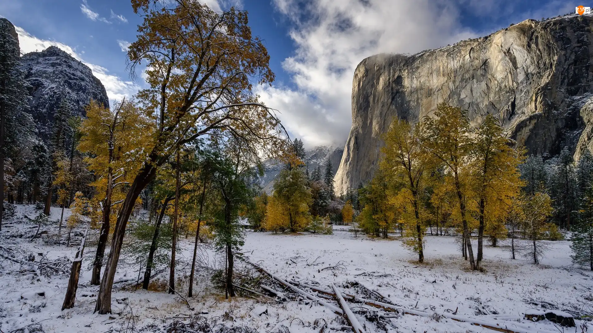 Stany Zjednoczone, Śnieg, Park Narodowy Yosemite, Drzewa, Góry, Jesień, El Capitan, Szczyt, Żółte, Stan Kalifornia
