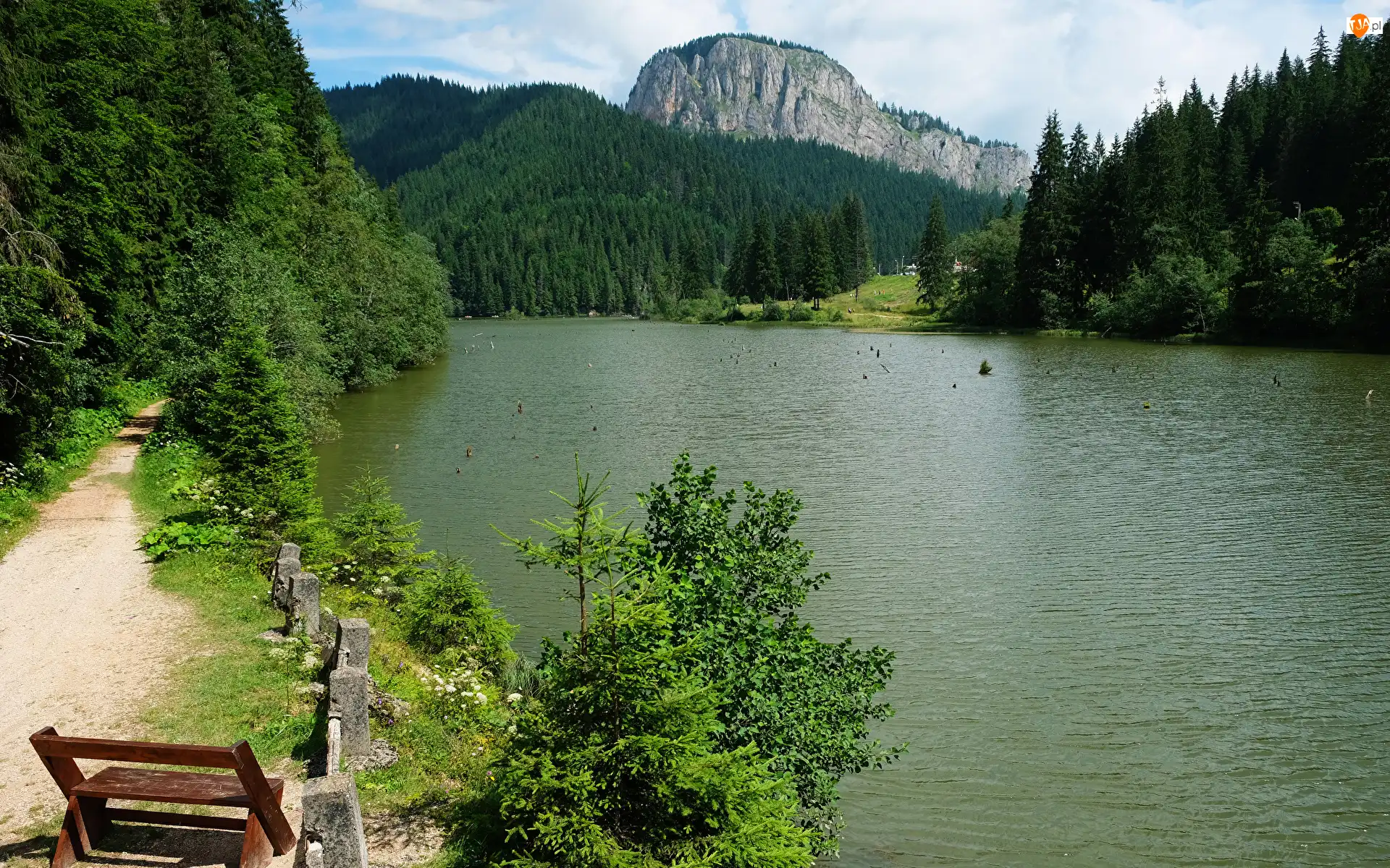 Drzewa, Ławka, Lasy, Góry, Jezioro