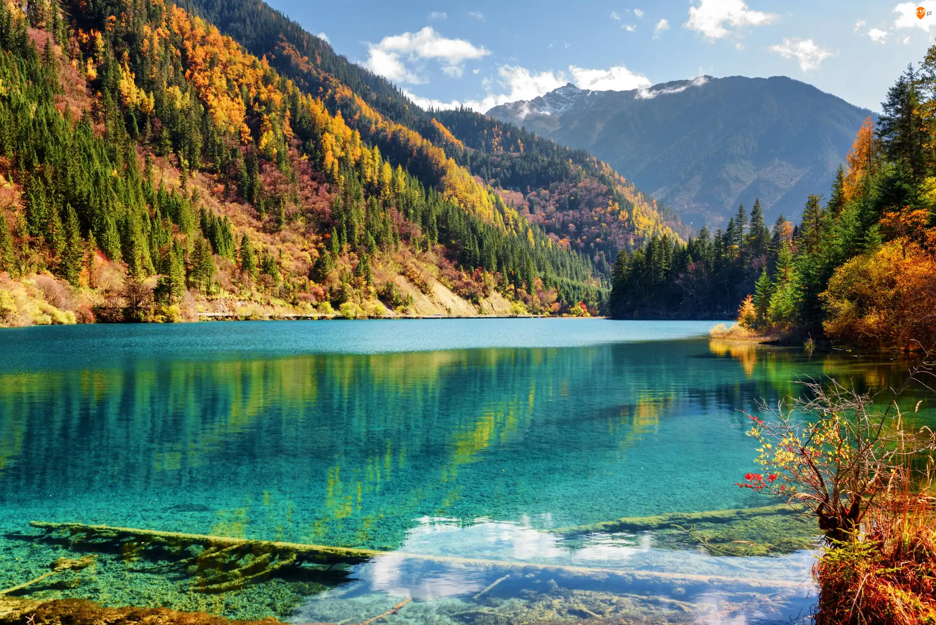 Park Narodowy Jiuzhaigou, Jesień, Drzewa,  Chiny, Jezioro Arrow Bamboo, Góry, Las