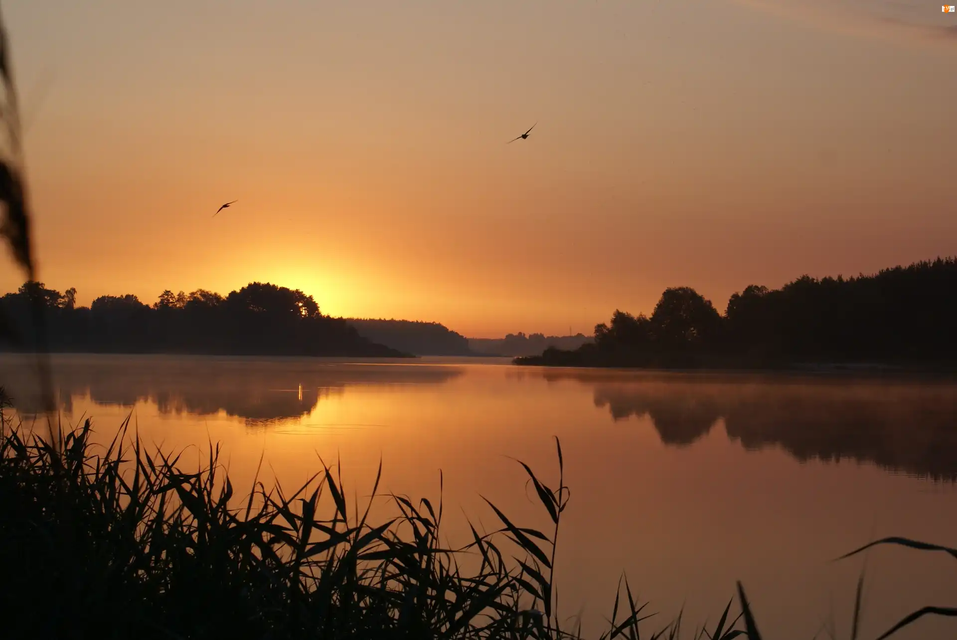 Świt, Jezioro, Wschód słońca