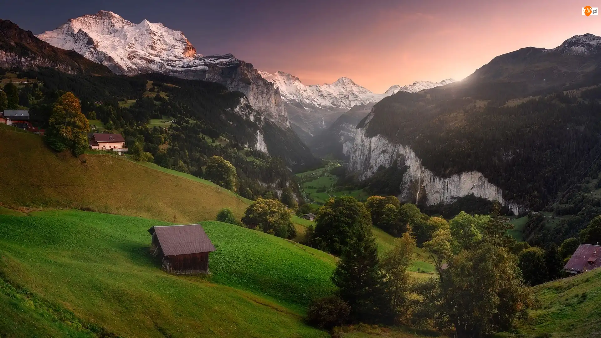 Szwajcaria, Wschód słońca, Wengen, Domy, Alpy Berneńskie, Góry, Drzewa, Dolina Lauterbrunnental, Lasy, Kanton Berno