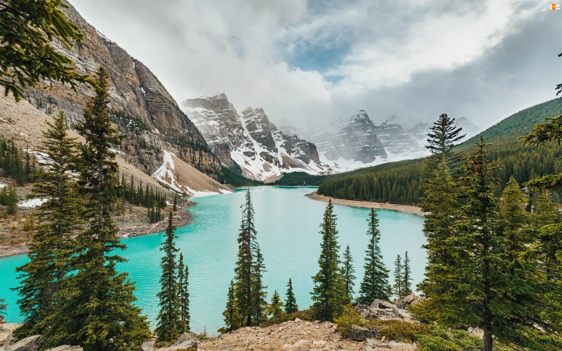 Park Narodowy Banff, Jezioro, Lasy, Alberta, Moraine Lake, Drzewa, Kanada, Góry
