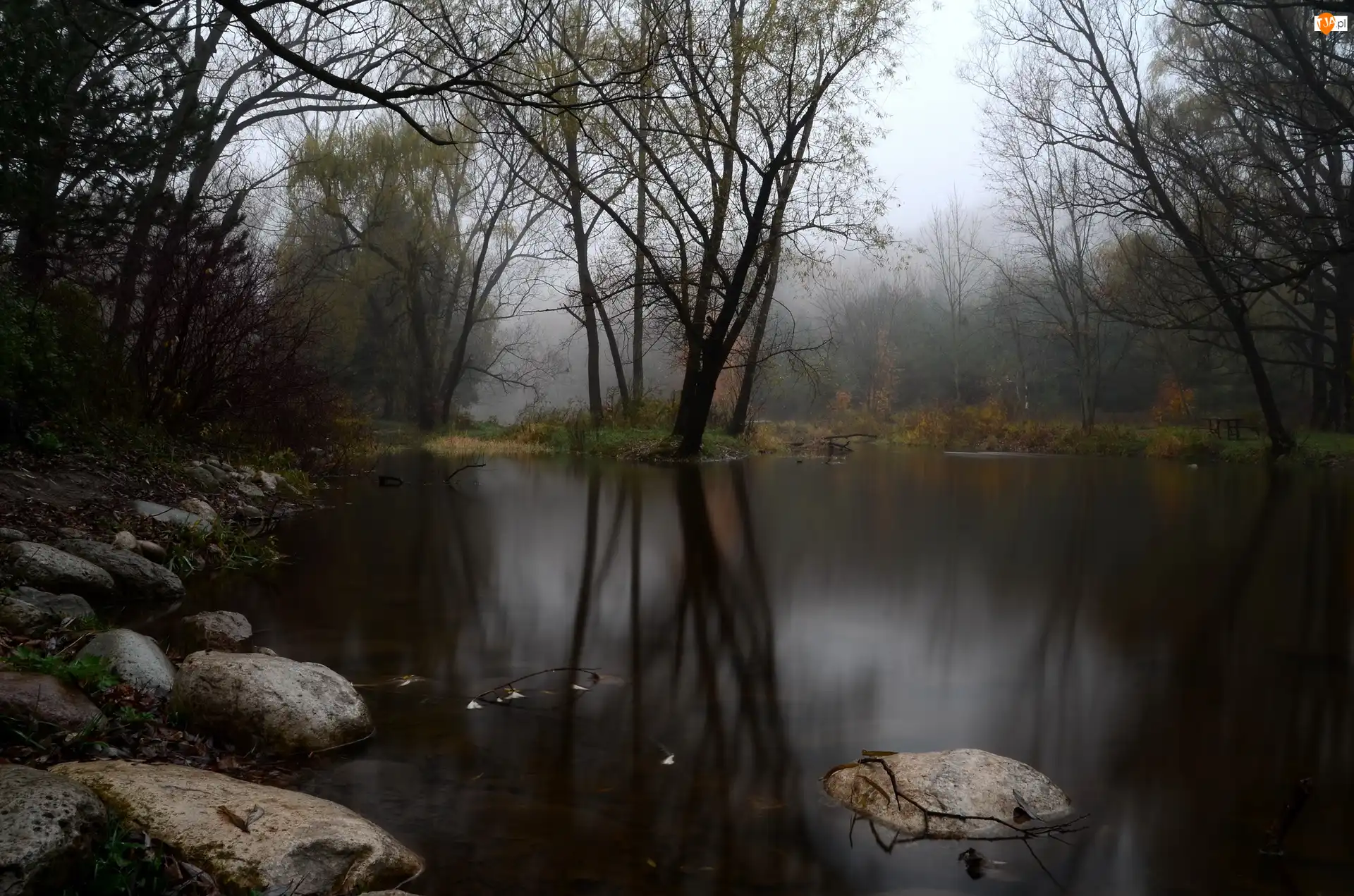 Zmierzch, Jezioro, Drzewa