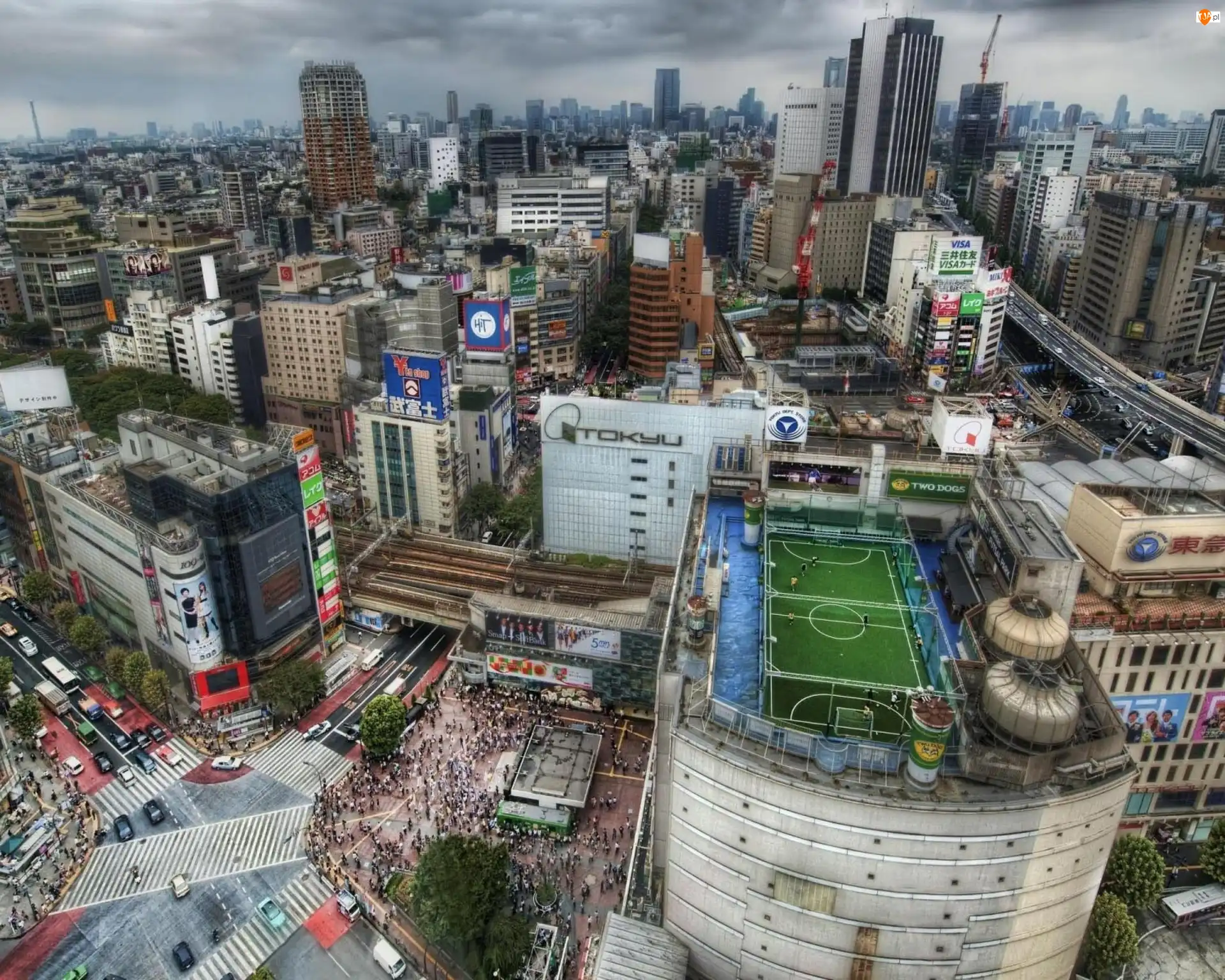 Tokio, Boisko, Azja, Japonia