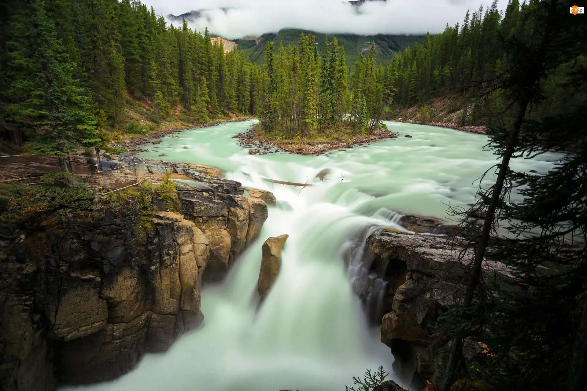 Rzeka Sunwapta, Park Narodowy Jasper, Kanada, Wodospad Sunwapta Falls, Prowincja Alberta, Drzewa, Skały