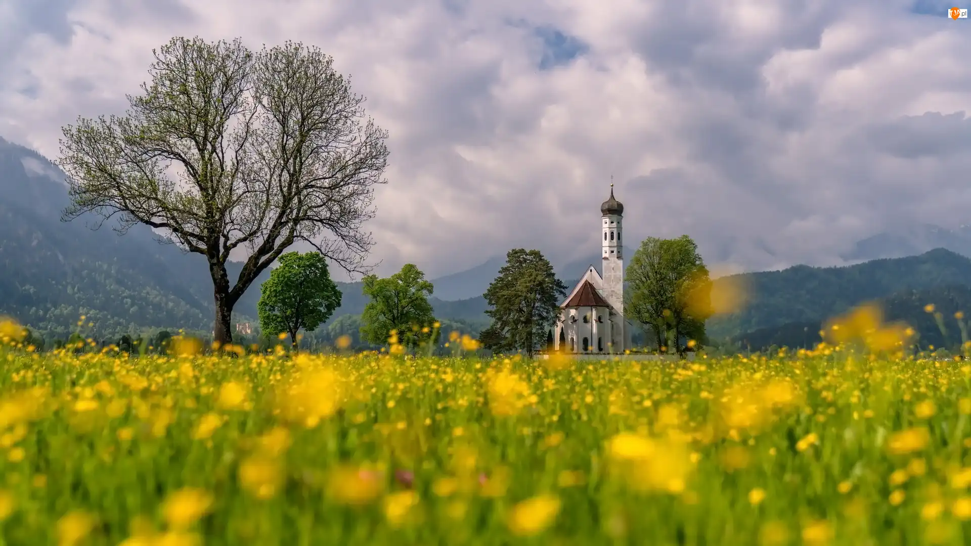 Niemcy, Schwangau, Region Allgau, Chmury, Alpy, Góry, Drzewa, Kościół Eglise Saint Coloman, Łąka, Bawaria