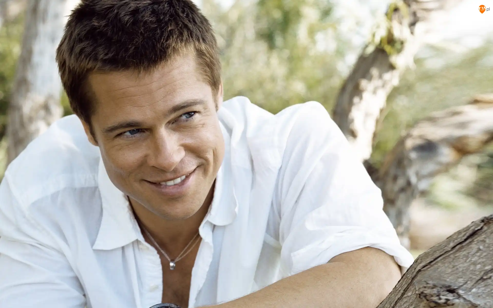 Mężczyzna, Twarz, Koszula, Uśmiechnięty, Biała, Brad Pitt, Aktor