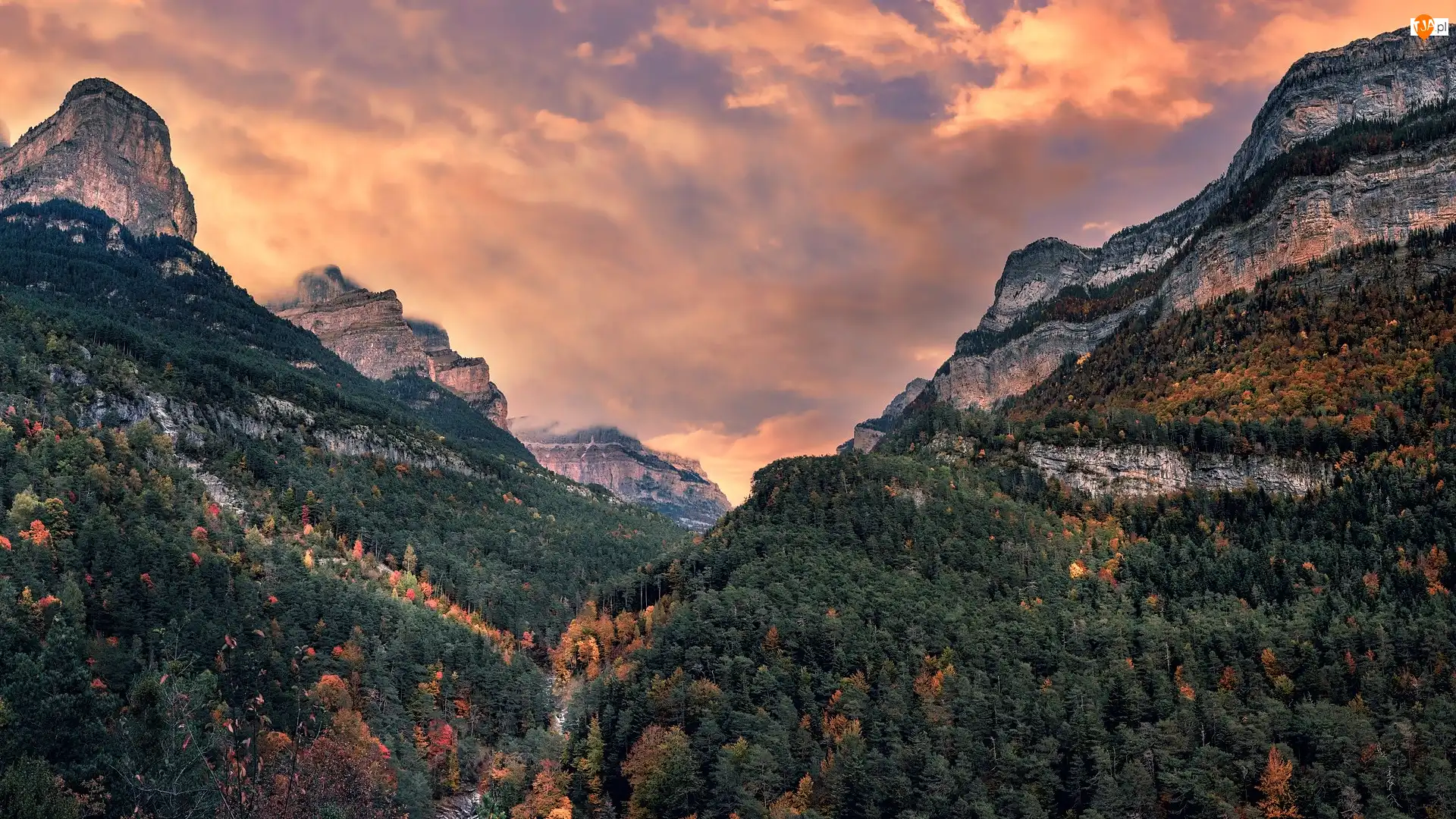 Pireneje, Góry, Drzewa, Hiszpania, Wąwóz, Park Narodowy Ordesa y Monte Perdido