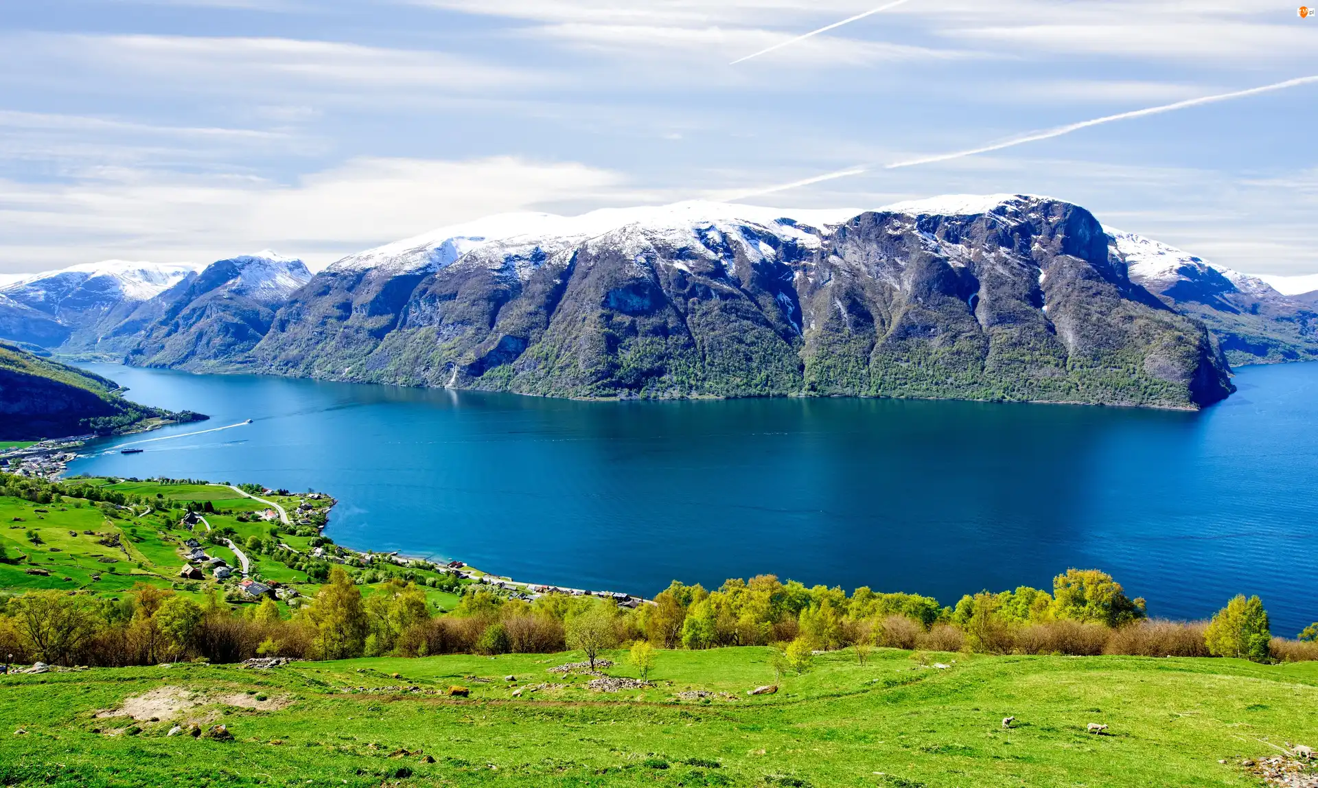 Fiord Aurlandsfjord, Norwegia, Góry, Domy, Hrabstwo Sogn og Fjordane, Krzewy