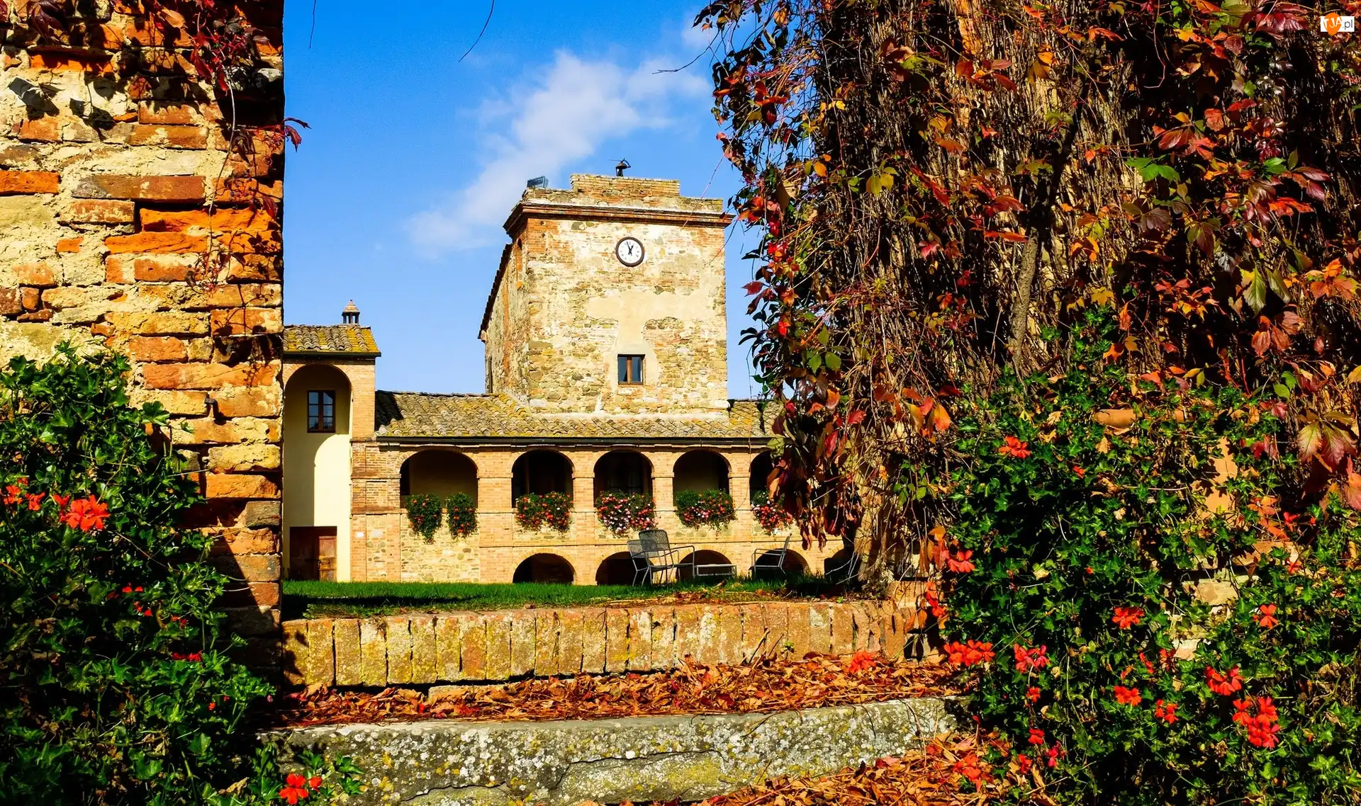 Sinalunga, Drzewa, Toskania, Włochy, Hotel Locanda dellAmorosa