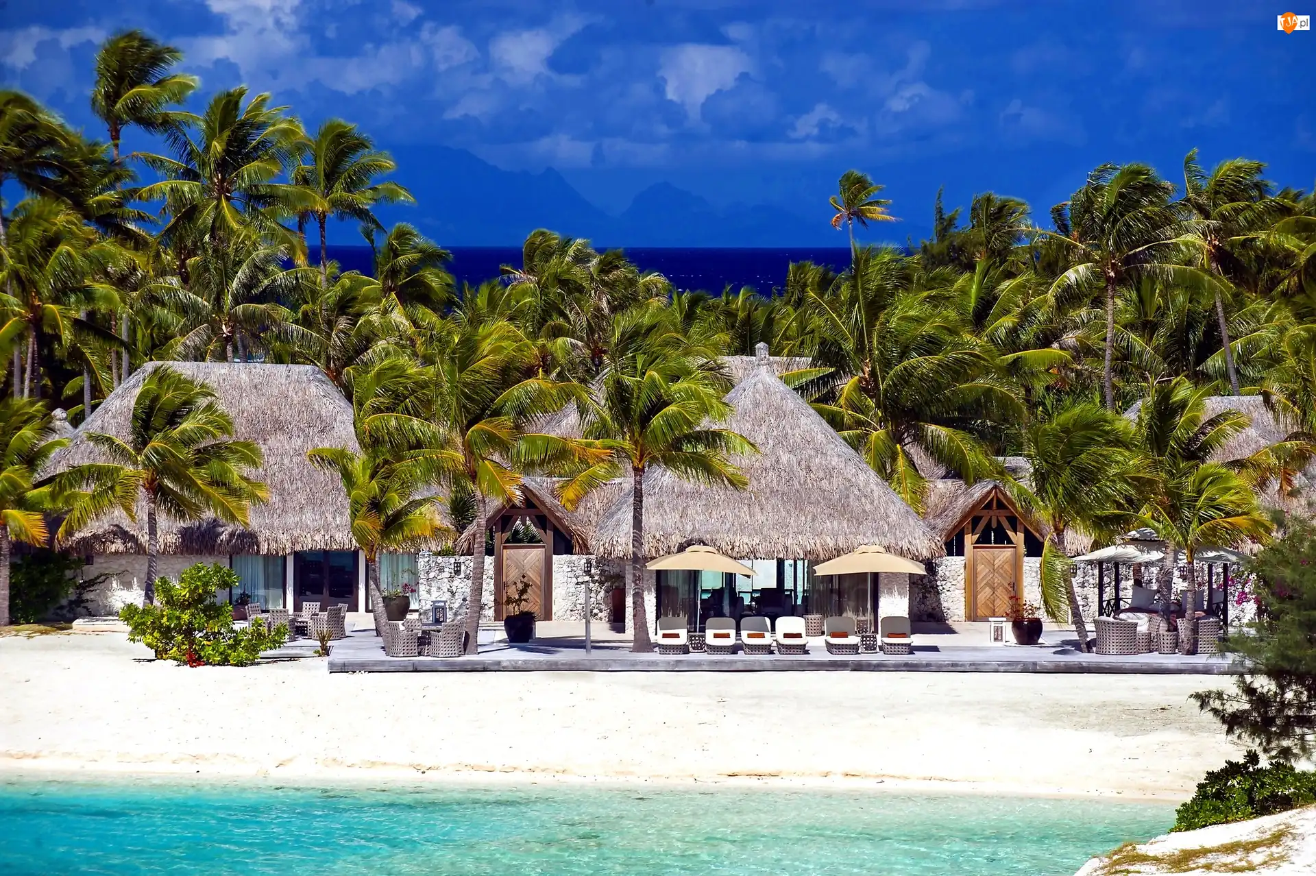 Plaża, Bora Bora, Palmy, Dom, Ocean