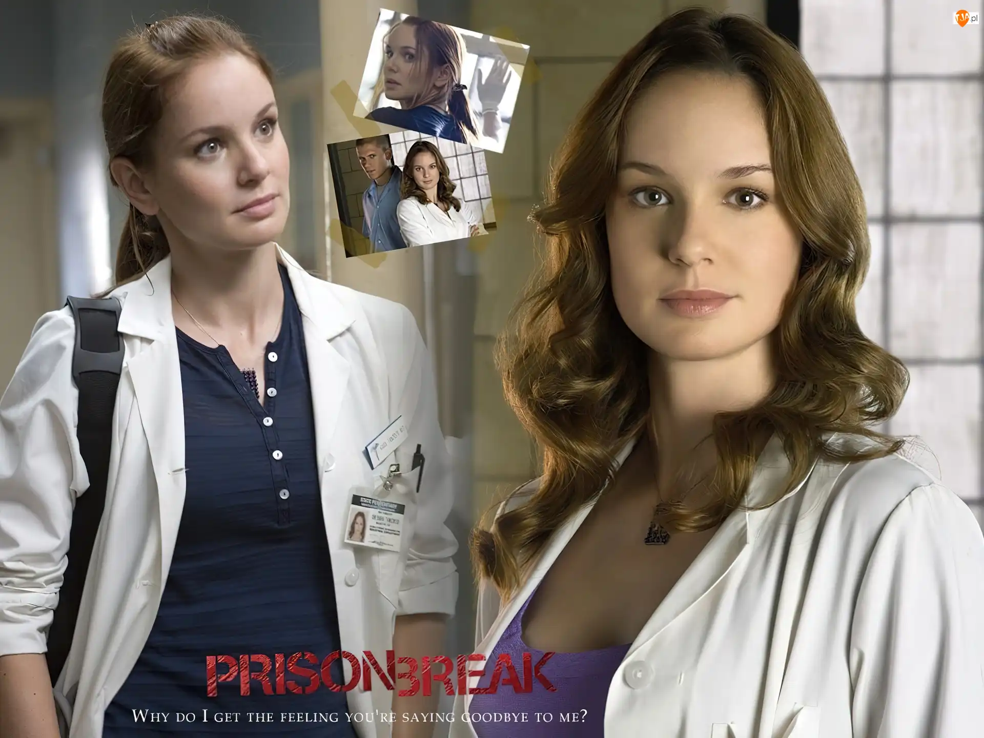 Sarah Wayne Callies, okno, Skazany na śmierć, Prison Break, fartuch