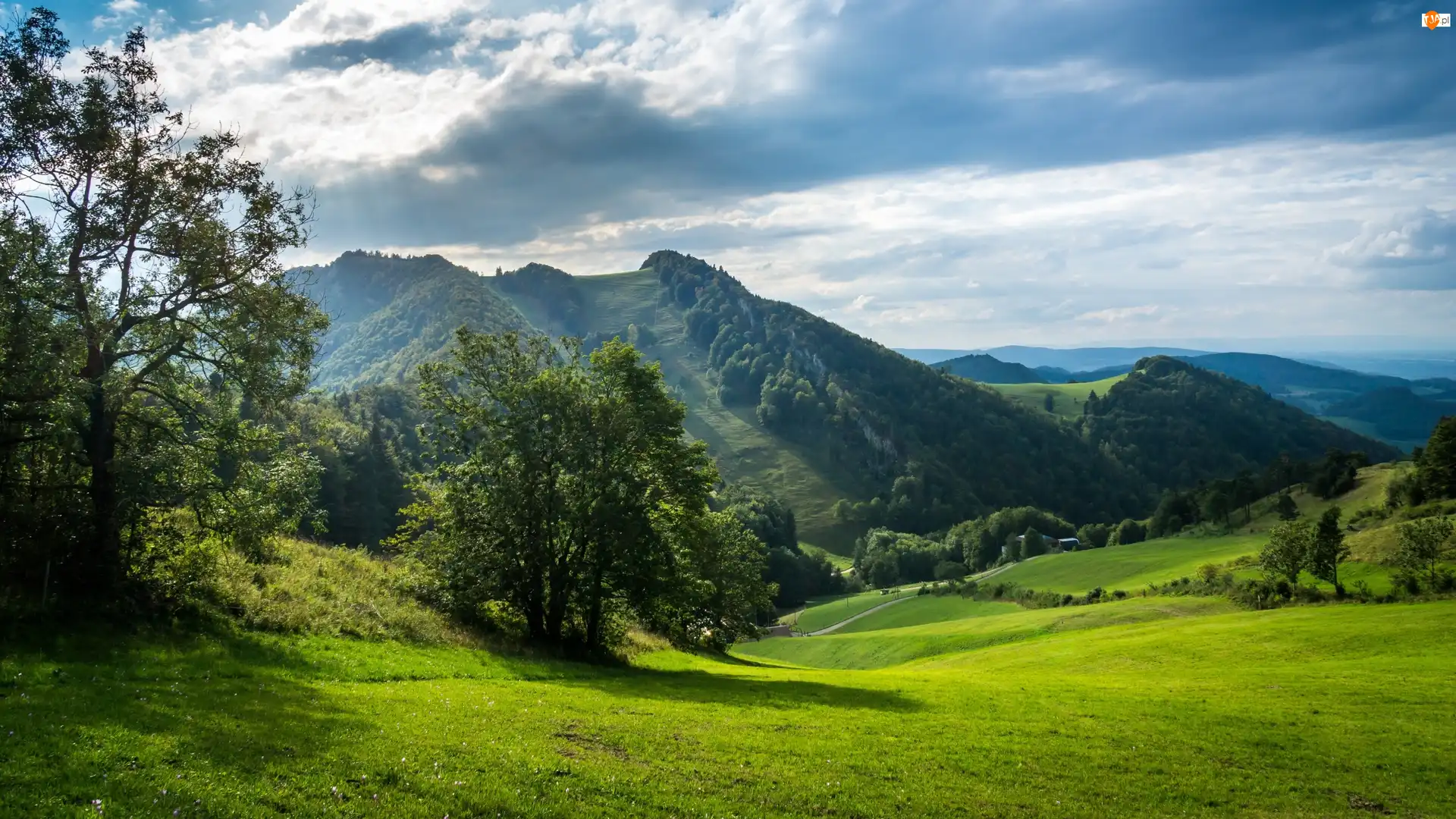 Drzewa, Góry, Łąki