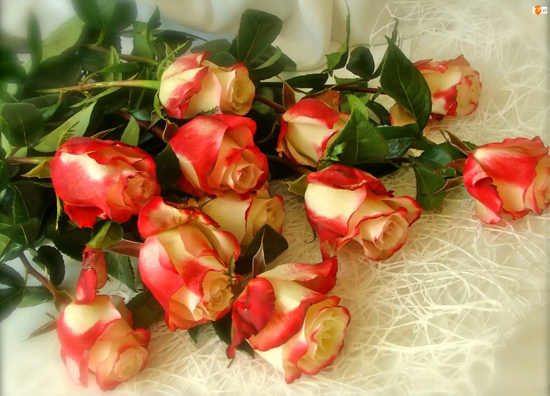 Bukiet, Roze