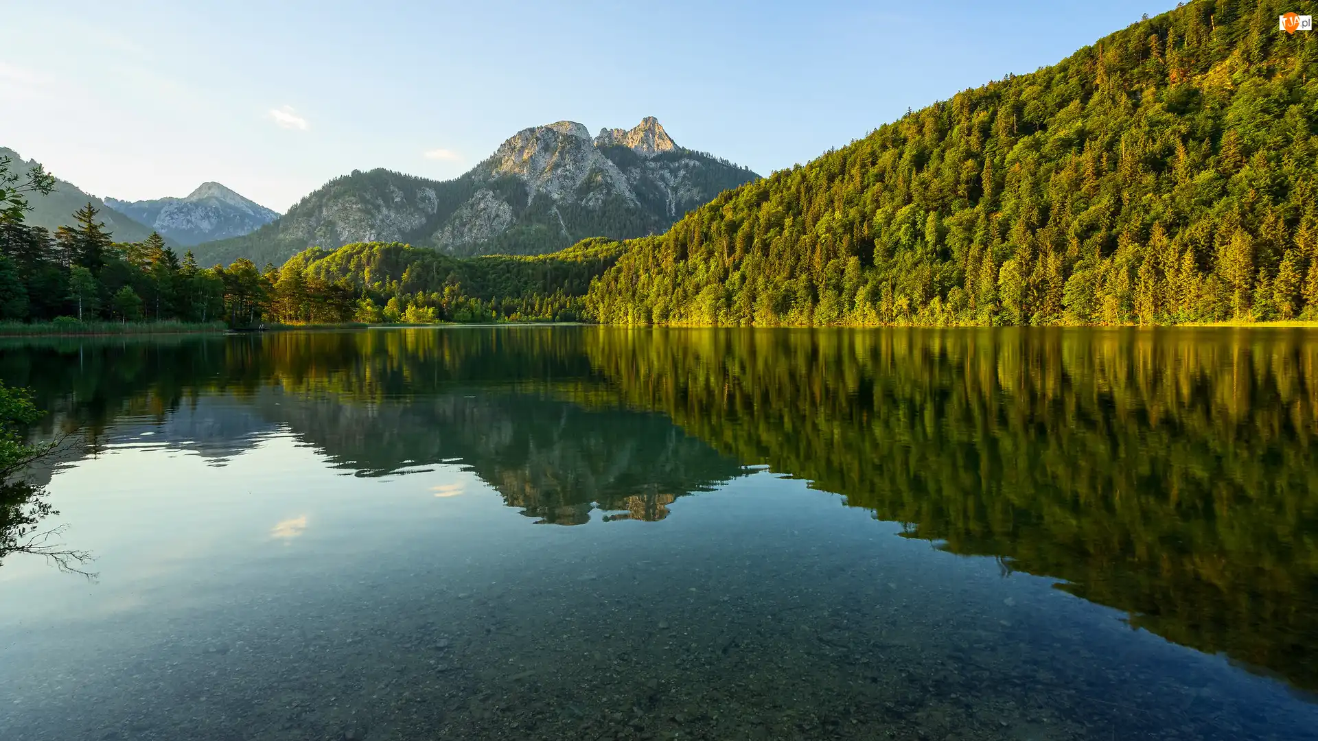 Jezioro Schwansee, Góry, Odbicie, Niemcy, Drzewa, Bawaria