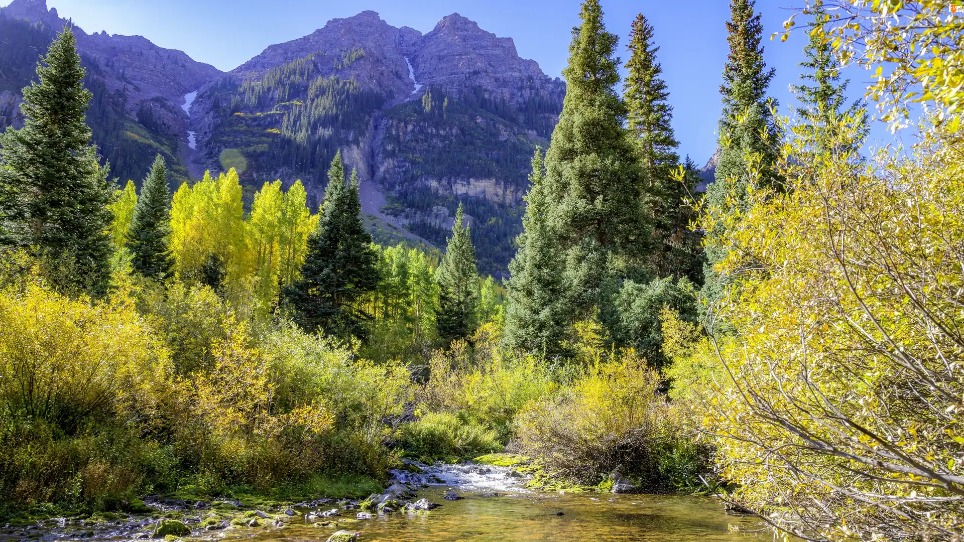 Kamienie, Rzeka Maroon Creek, Drzewa, Stan Kolorado, Góra, Krzewy, Stany Zjednoczone, Maroon Bells