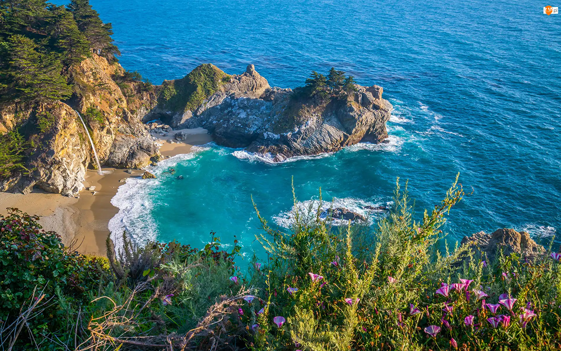 Skały, Wybrzeże Big Sur, Plaża, Stany Zjednoczone, Drzewa, Park Stanowy Julia Pfeiffer Burns, Zatoka McWay Cove, Kwiaty, Morze, Wodospad, McWay Falls, Kalifornia
