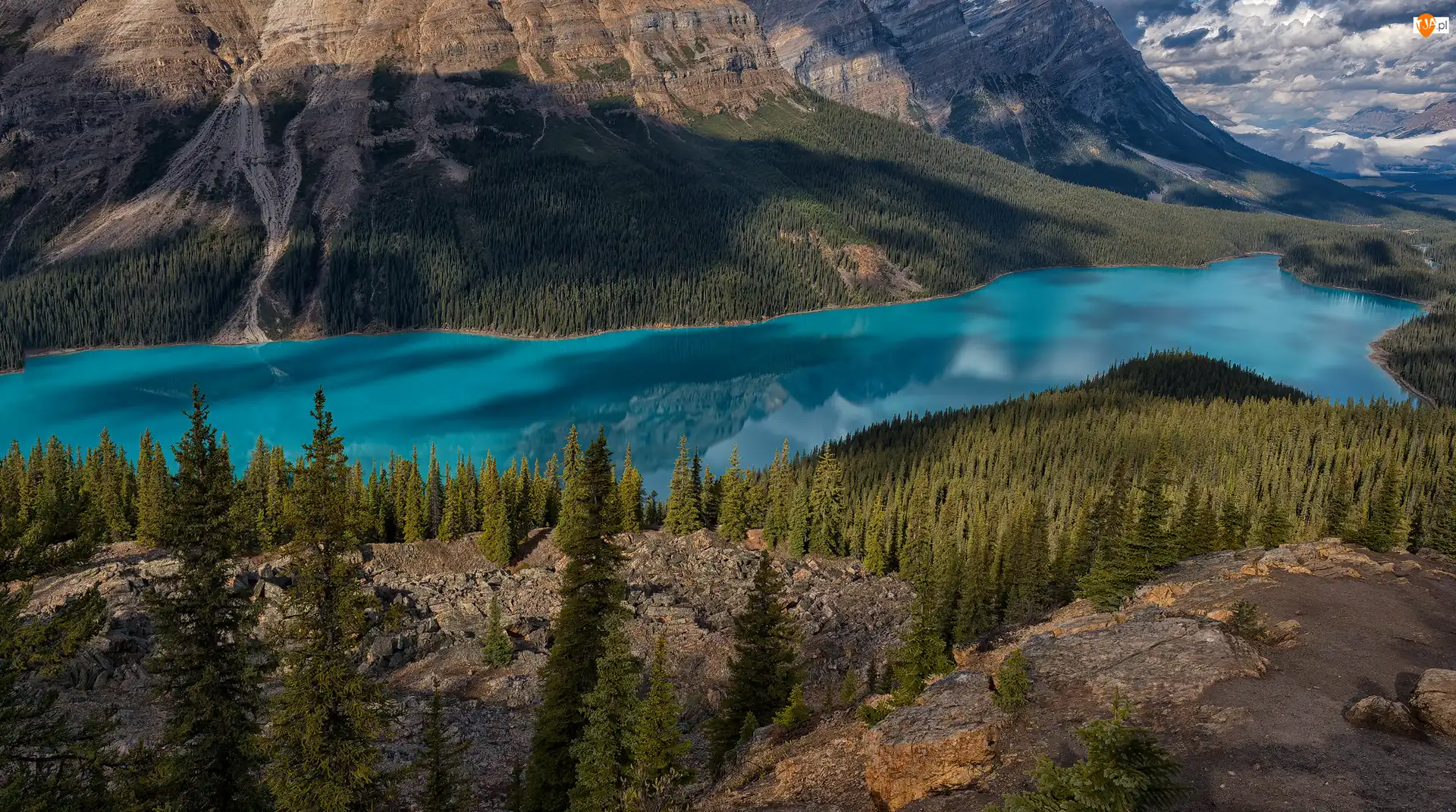 Skały, Drzewa, Kanada, Góry, Park Narodowy Banff, Peyto Lake, Jezioro