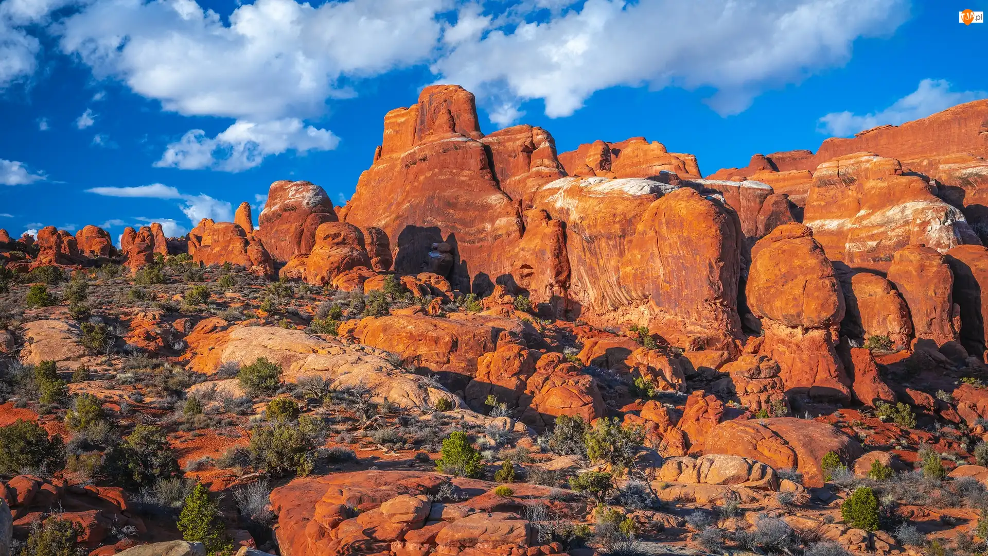 Skały, Czerwone, Park Narodowy Arches, Stany Zjednoczone, Rośliny, Utah