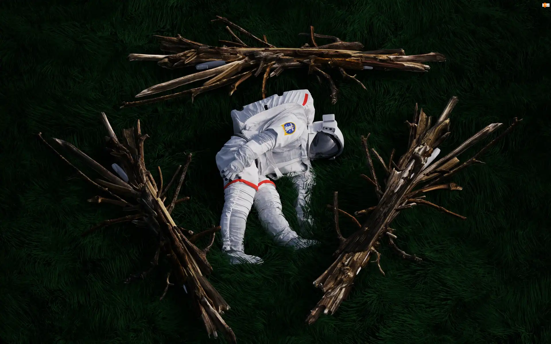 Trawa, Grafika 2D, Skafander, Astronauta, Gałęzie