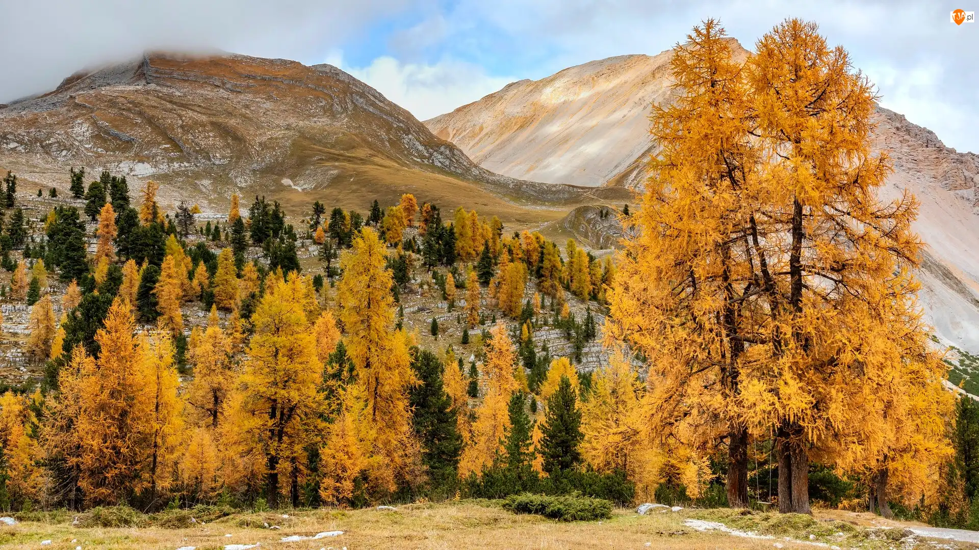 Południowy Tyrol, Góry, Pożółkłe, Włochy, Drzewa, Jesień, Dolomity