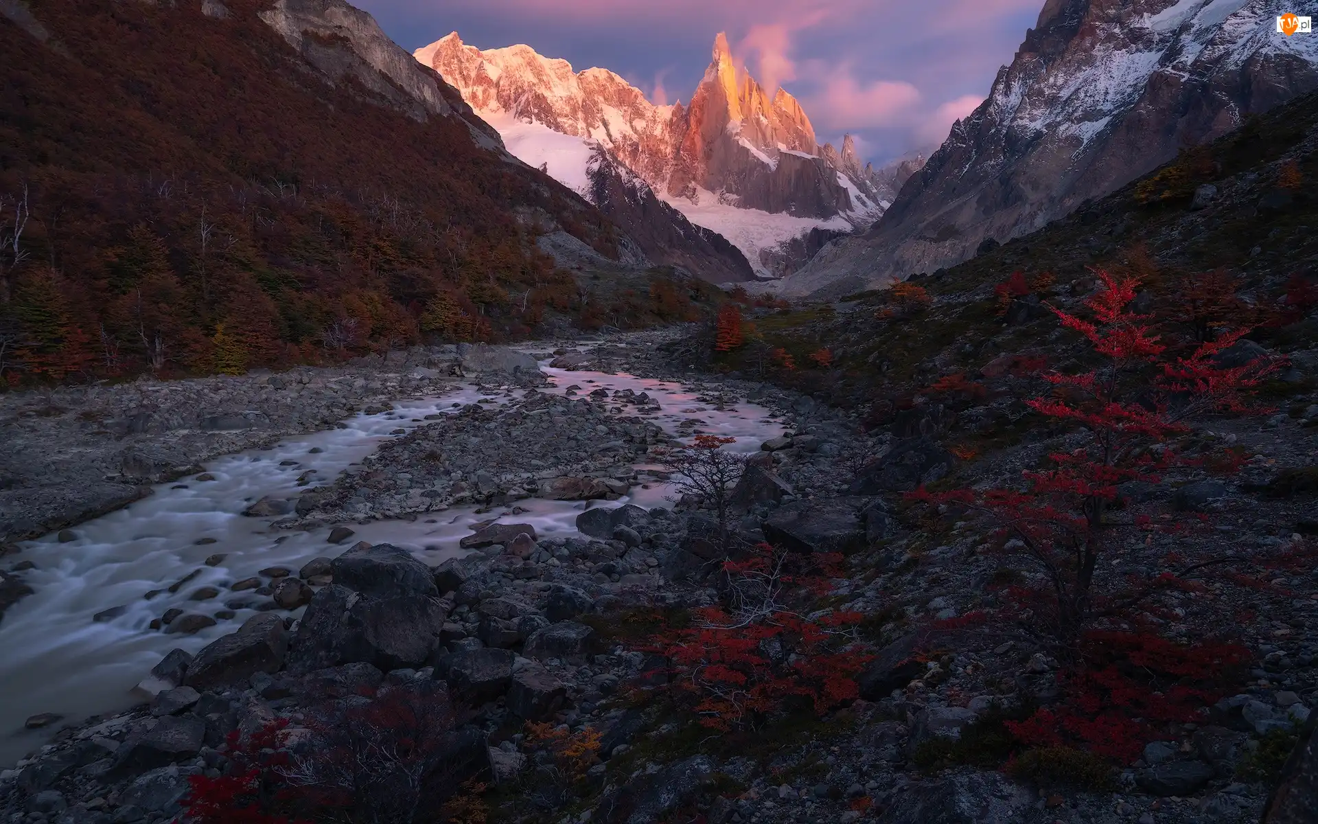 Patagonia, Argentyna, Cerro Torre, Roślinność, Góry, Rzeka