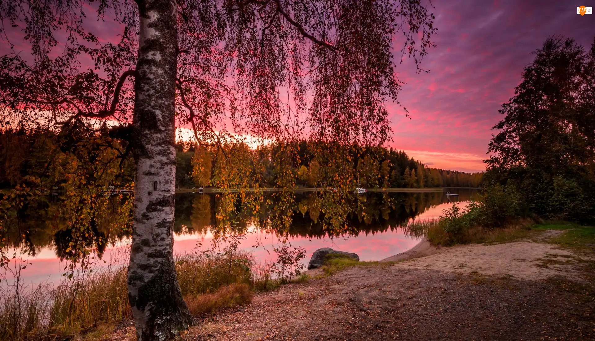 Drzewa, Finlandia, Jezioro Näsijärvi, Brzoza, Prowincja Finlandia Zachodnia, Jesień, Chmury, Region Pirkanmaa