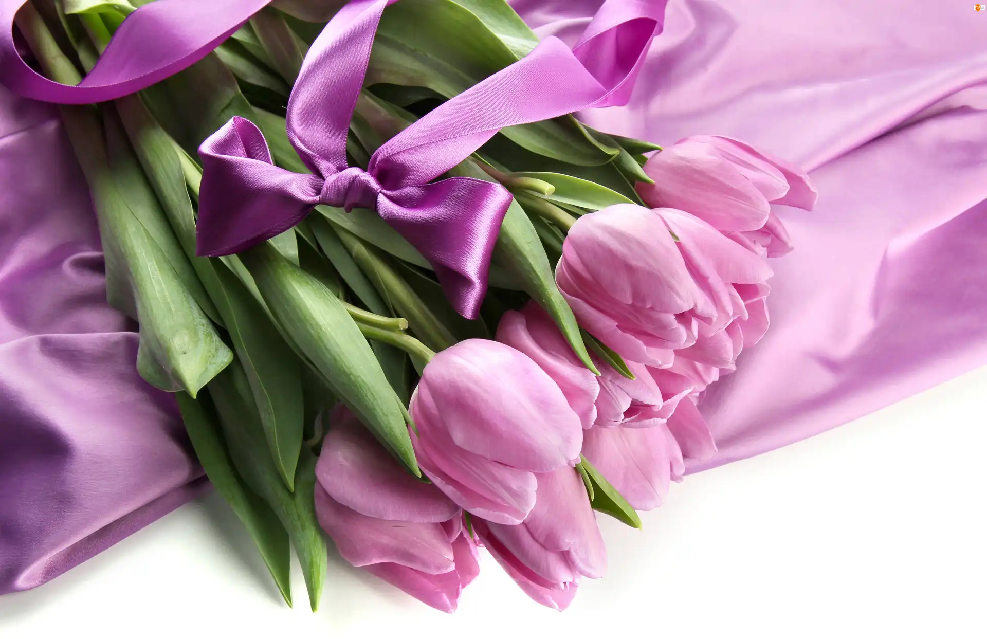 Różowe, Tulipany