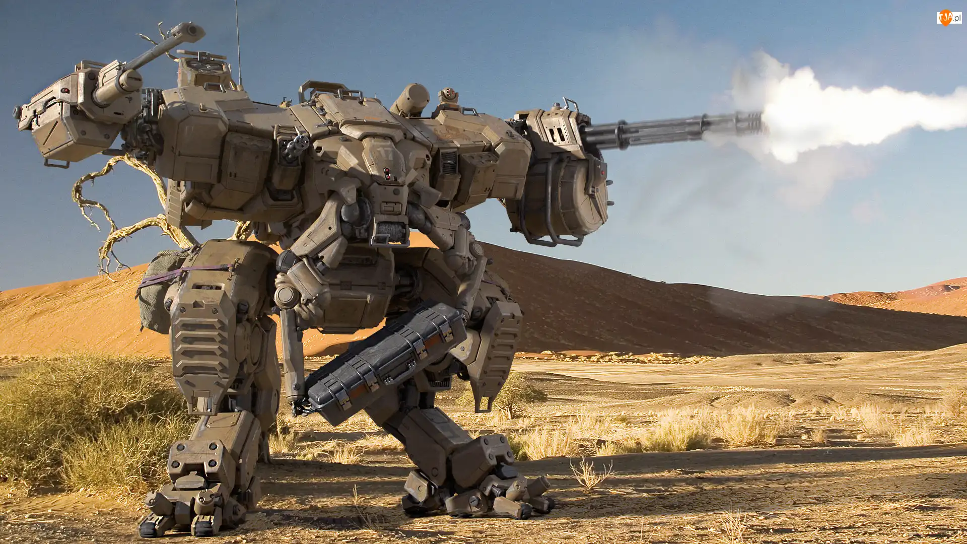 Pustynia, Robot