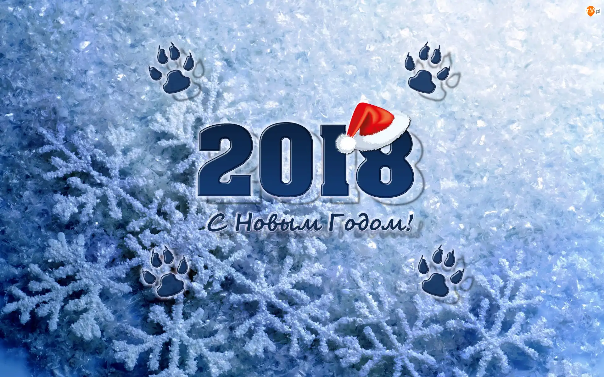 2018, Czapka, Śnieżynki, Nowy Rok, Łapy, Ślady, Mikołaja