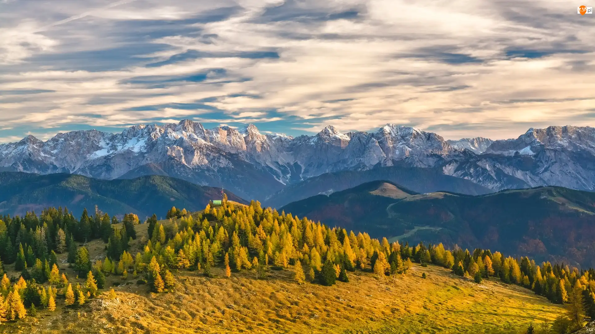 Góry Alpy, Drzewa, Karyntia, Austria, Alpy Julijskie