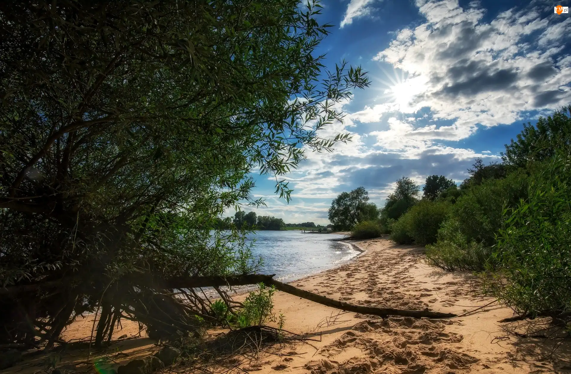 Szlezwik-Holsztyn, Niemcy, Brzeg, Drzewa, Rzeka Łaba, Piasek