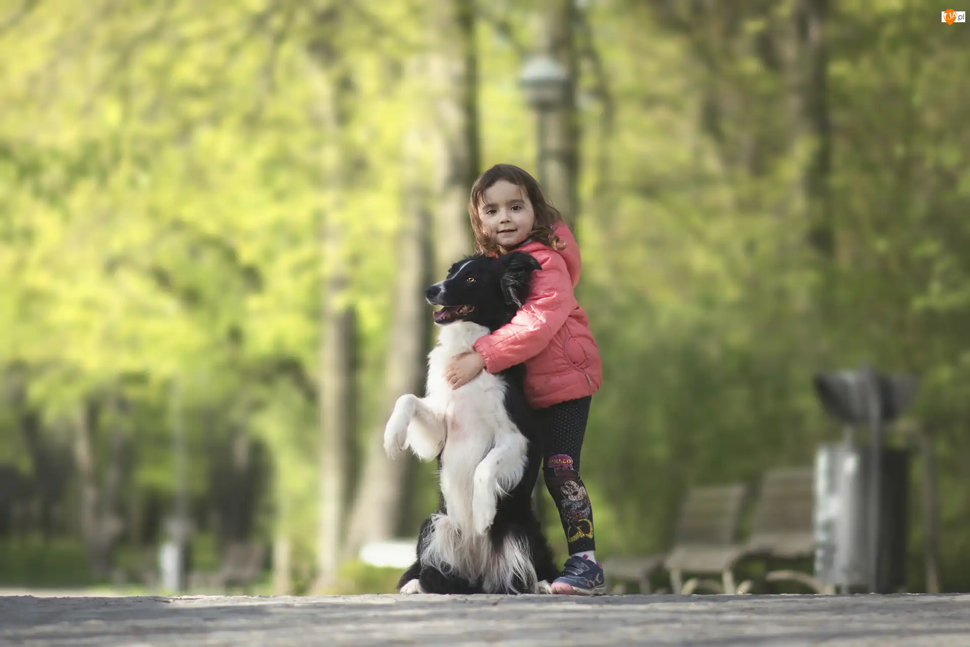 Przytulenie, Pies, Border collie, Dziewczynka