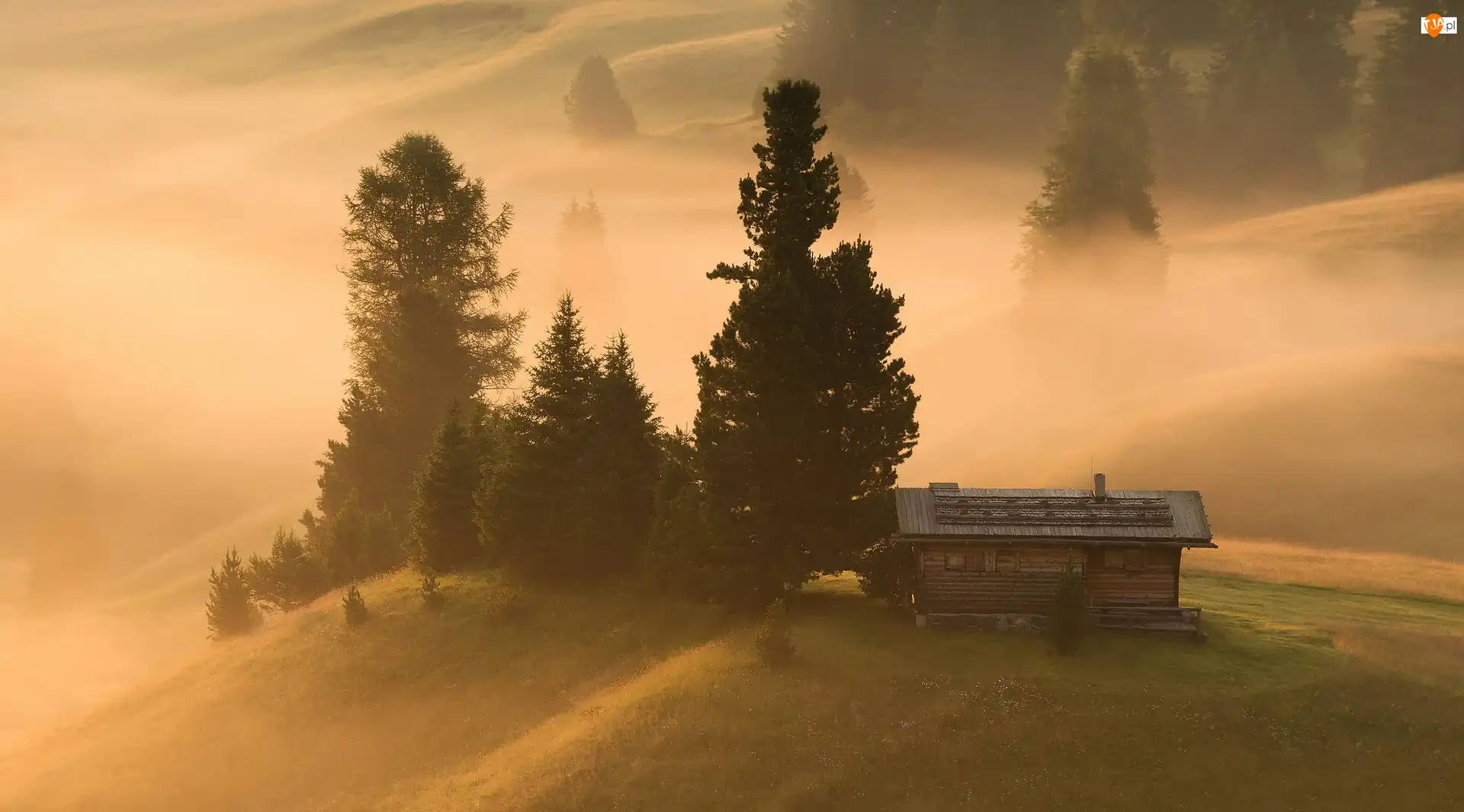 Drewniany, Płaskowyż Seiser Alm, Mgła, Włochy, Domek, Drzewa