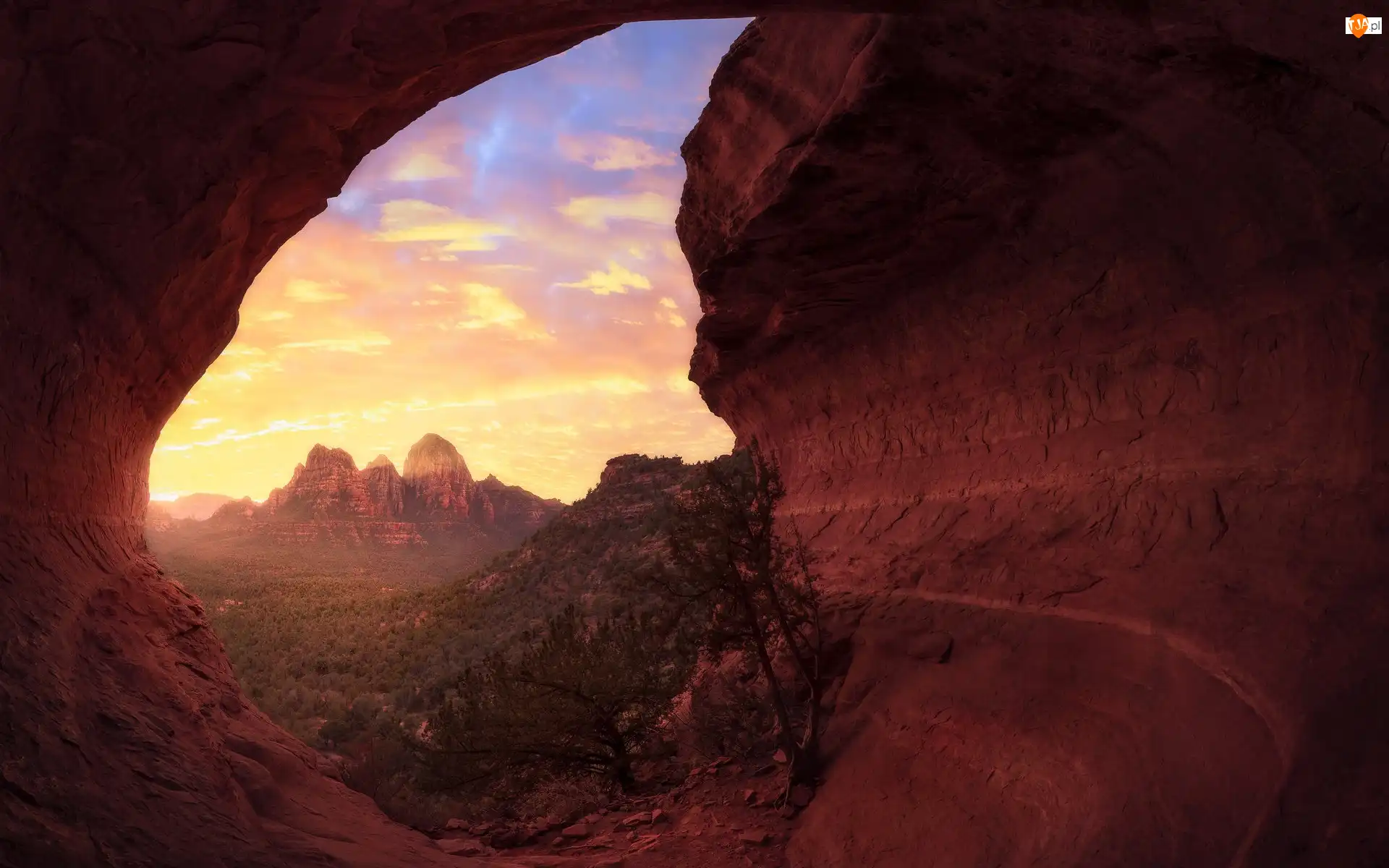 Góry, Skały, Sedona, Stany Zjednoczone, Krzew, Arizona