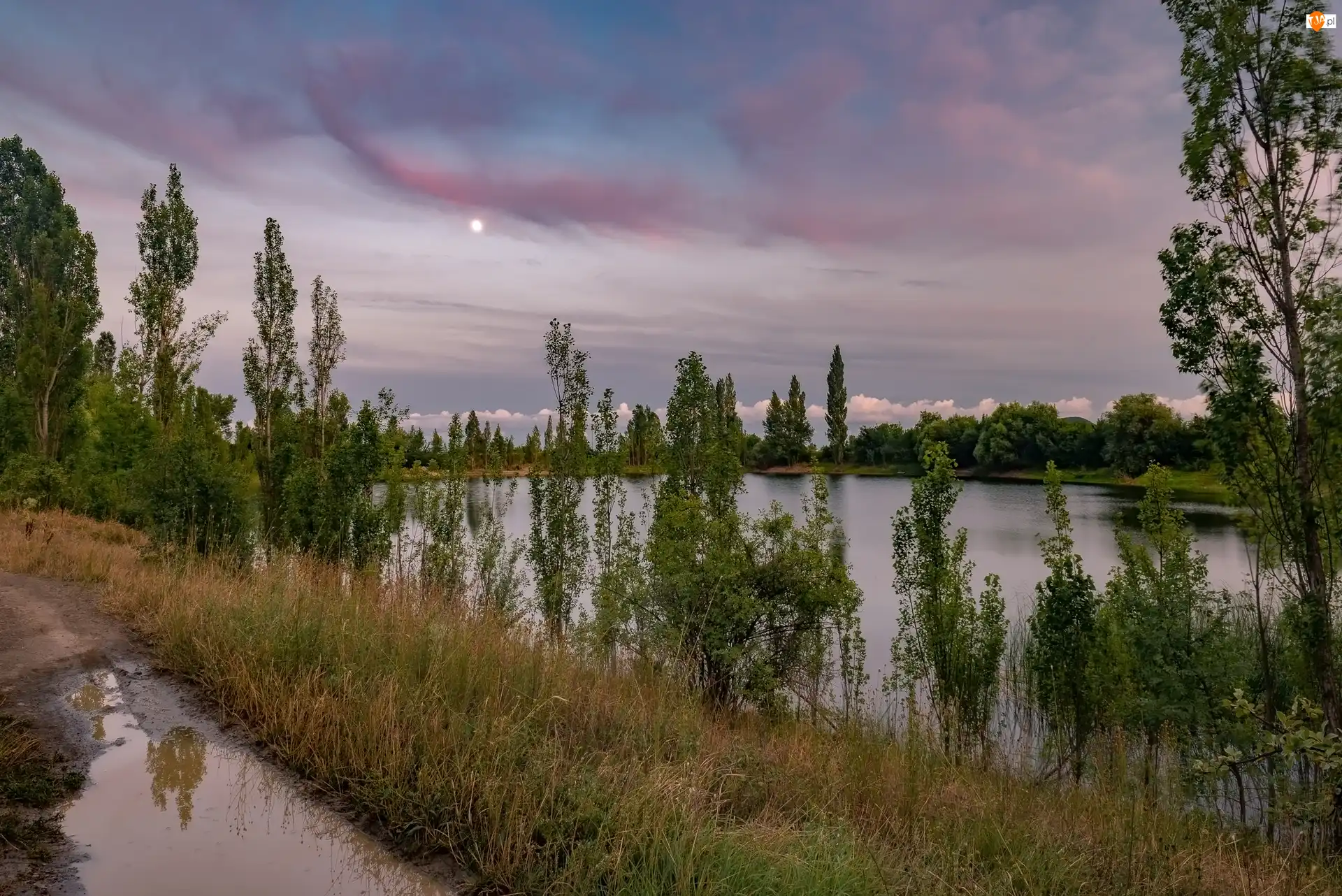 Trawa, Kałuże, Drzewa, Jezioro, Droga