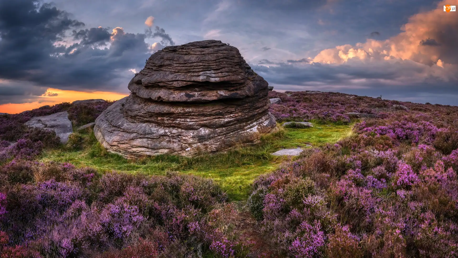 Wrzosy, Park Narodowy Peak District, Skała, Wrzosowisko, Wzgórze, Formacja skalna, Anglia, Over Owler Tor