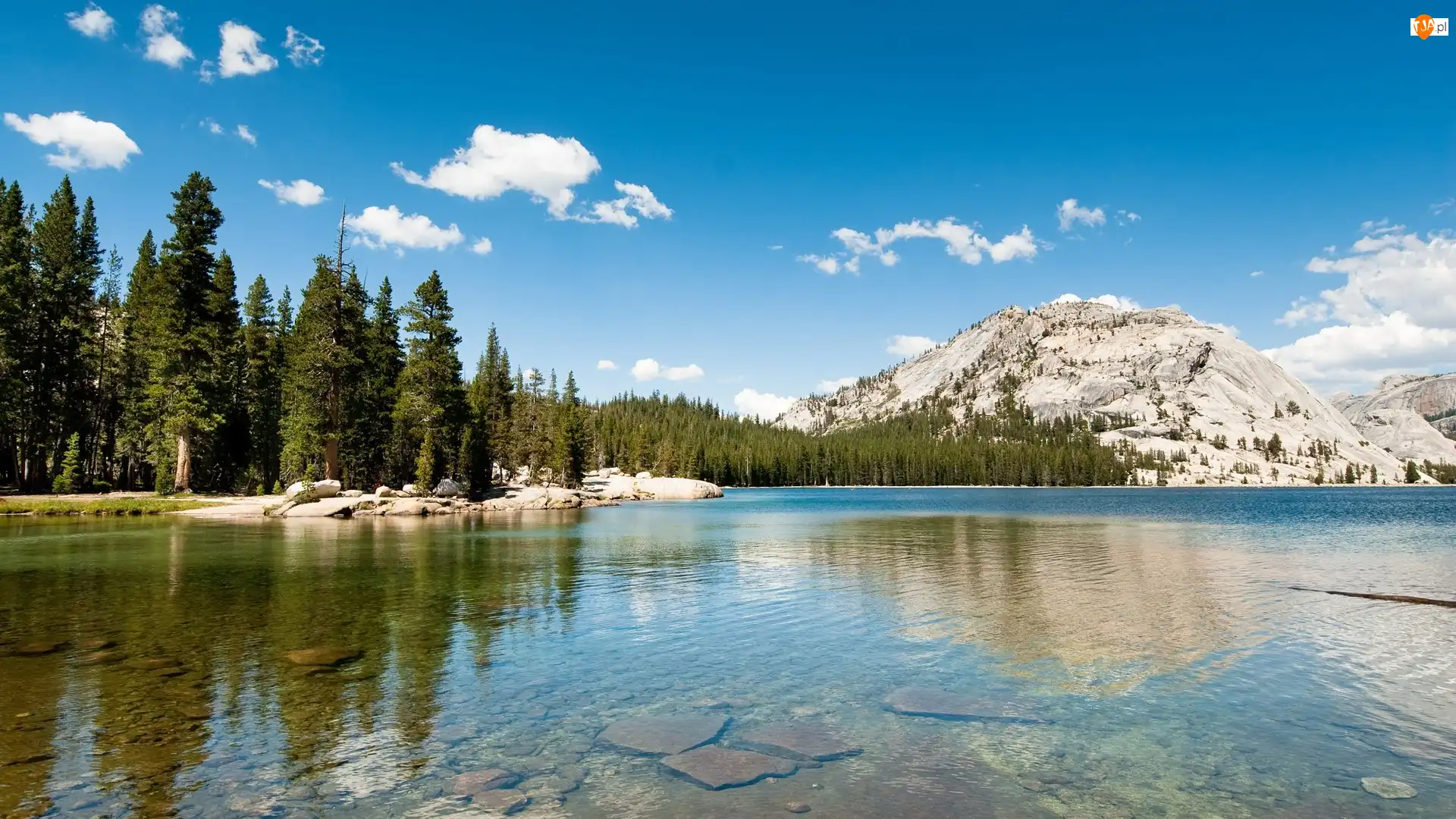 Stan Kalifornia, Stany Zjednoczone, Jezioro Tenaya, Las, Park Narodowy Yosemite, Góry