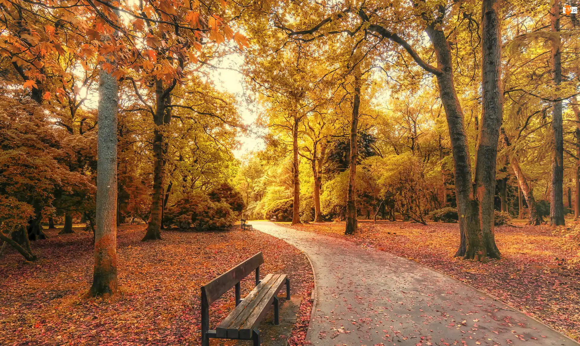Jesień, Alejka, Park, Ławki