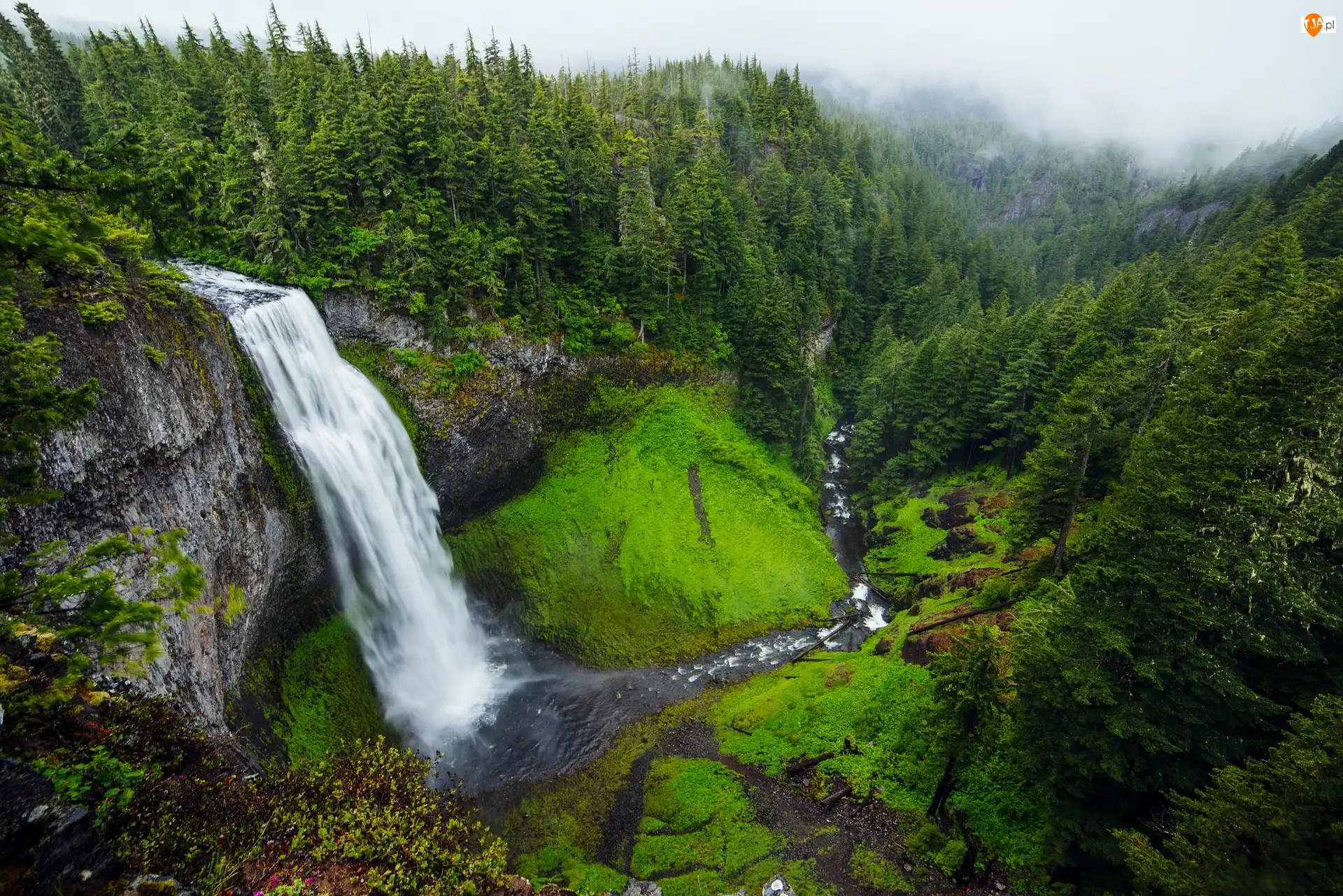 Willamette River, Wodospad, Lasy, Oregon, Salt Creek Falls, Rzeka, Stany Zjednoczone, Skały